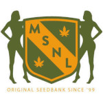 MSNL Logo