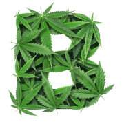 Bestselling Cannabis Seeds