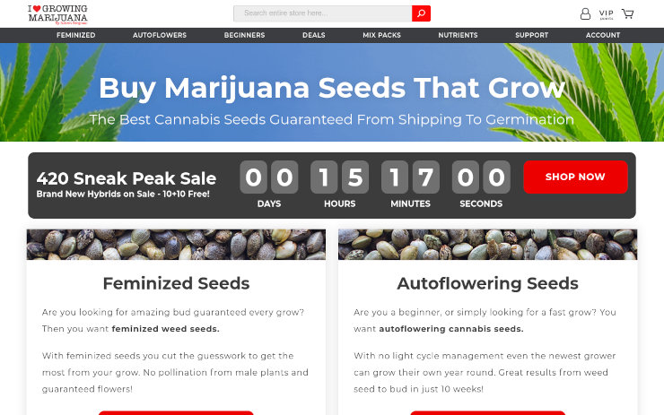 ILGM Seedbank Review