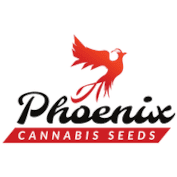 Phoenix Seeds