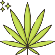 Starseeds Cannabis Seeds Shop
