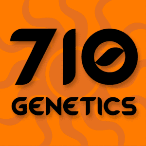 Sour White Feminised Seeds by 710 Genetics