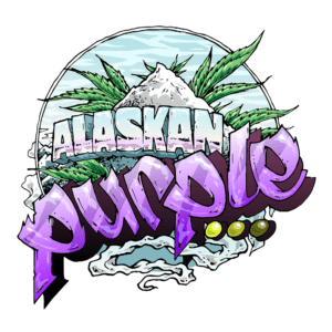 Alaskan Purple Feminised Seeds by Seedsman