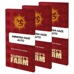 Amnesia Haze Auto Feminised Seeds by Barney's Farm