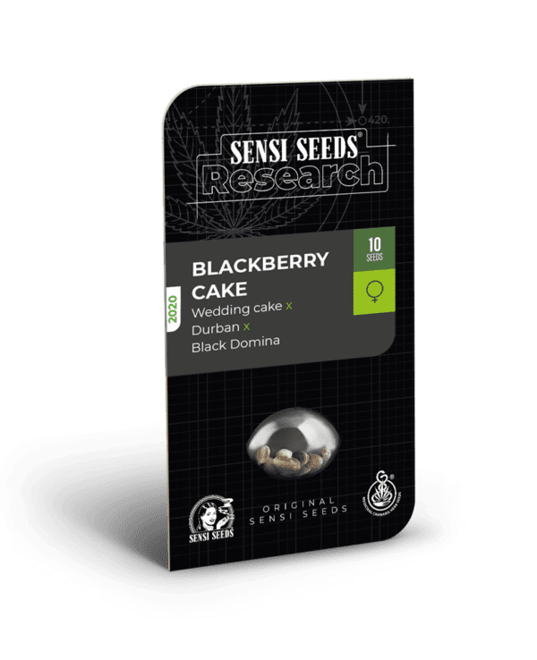 Blackberry Cake Feminised Seeds by Sensi Seeds Research