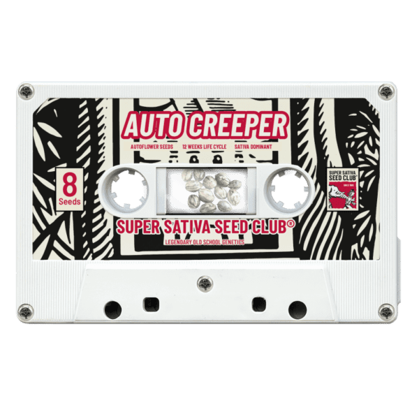 Creeper Auto Feminised Seeds by Super Sativa Seed Club