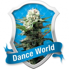 Dance World CBD Feminised Seeds by Royal Queen Seeds