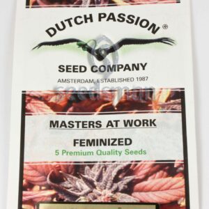 Euforia Feminised Seeds by Dutch Passion