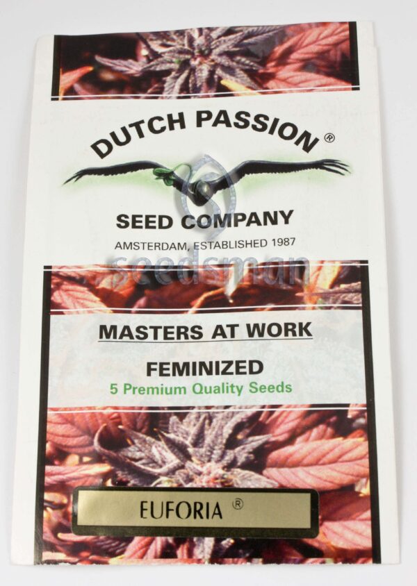 Euforia Feminised Seeds by Dutch Passion
