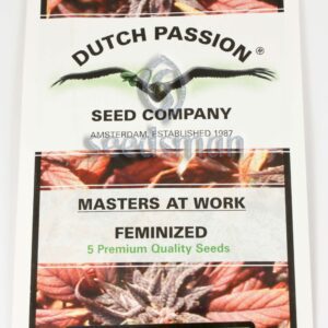 Power Plant Feminised Seeds by Dutch Passion