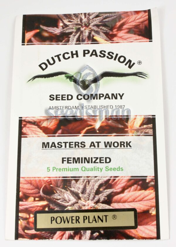 Power Plant Feminised Seeds by Dutch Passion