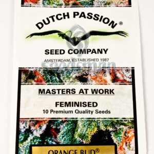 Orange Bud Feminised Seeds by Dutch Passion