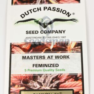 Passion #1 Feminised Seeds by Dutch Passion