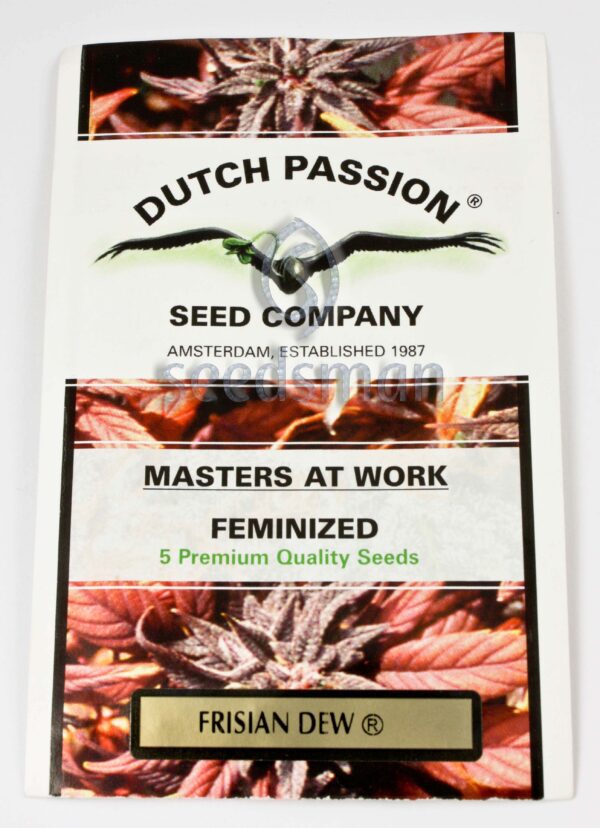 Frisian Dew Feminised Seeds by Dutch Passion