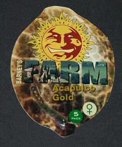 Acapulco Gold Feminised Seeds by Barney's Farm
