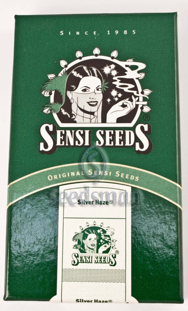 Silver Haze Regular Seeds by Sensi Seeds