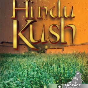 Hindu Kush Regular Seeds by Landrace Warden
