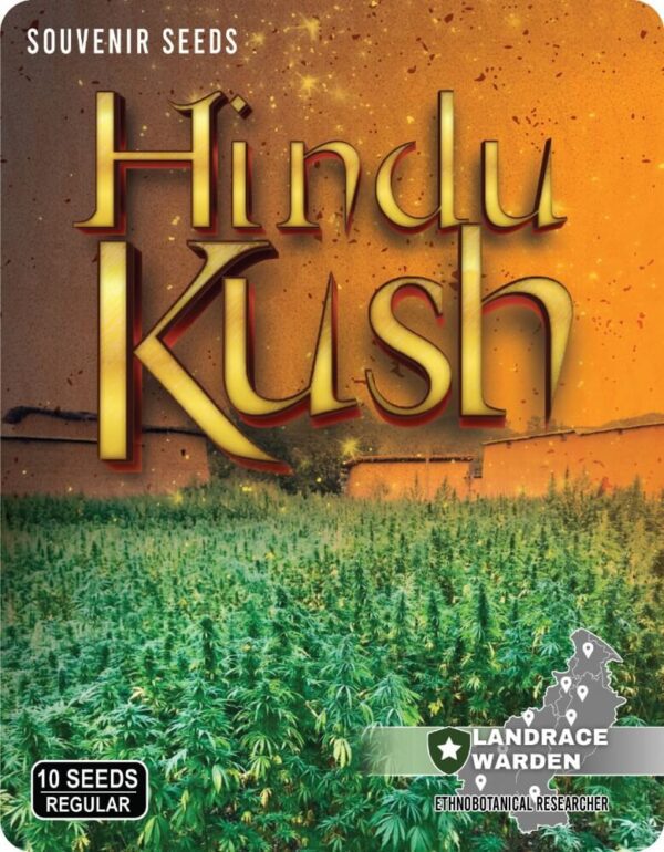 Hindu Kush Regular Seeds by Landrace Warden