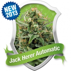 Royal Jack Auto Feminised Seeds by Royal Queen Seeds