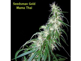Mama Thai Regular Seeds by Seedsman