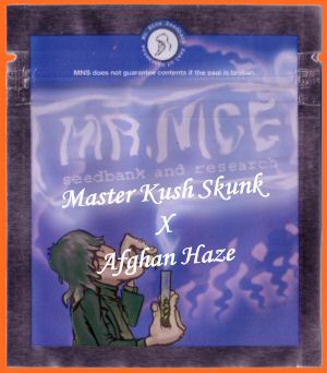Master Kaze (Master Kush Skunk x Afghan Haze) Regular Seeds by Mr Nice Seedbank