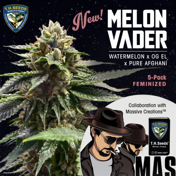 Melon Vader Feminised Seeds by T.H. Seeds