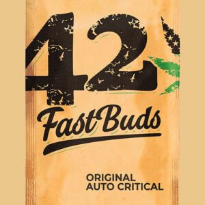 Original Critical Auto Feminised Seeds by FastBuds