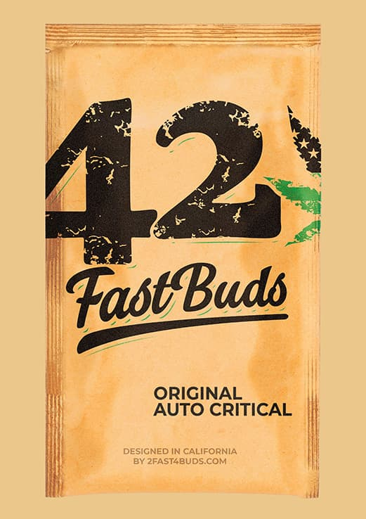 Original Critical Auto Feminised Seeds by FastBuds