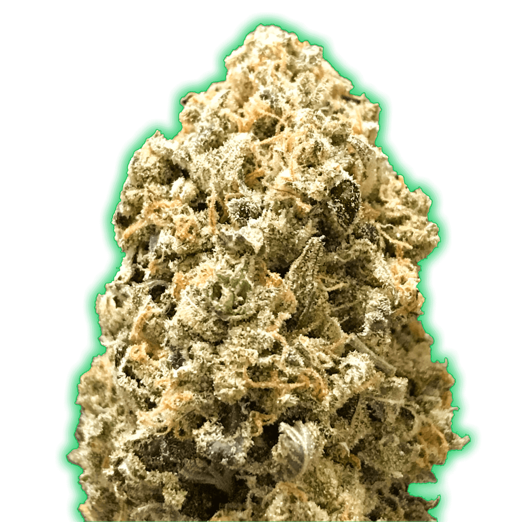buy-monster-pebbles-feminised-seeds-by-monster-genetics-intl
