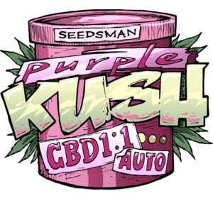 Purple Kush CBD Auto 1:1 Feminised Seeds by Seedsman