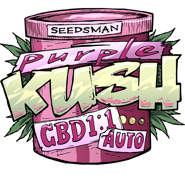 Purple Kush CBD Auto 1:1 Feminised Seeds by Seedsman