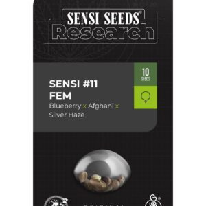 Sensi #11 (Blueberry x Afghani x Silver Haze) Feminised Seeds by Sensi Seeds Research