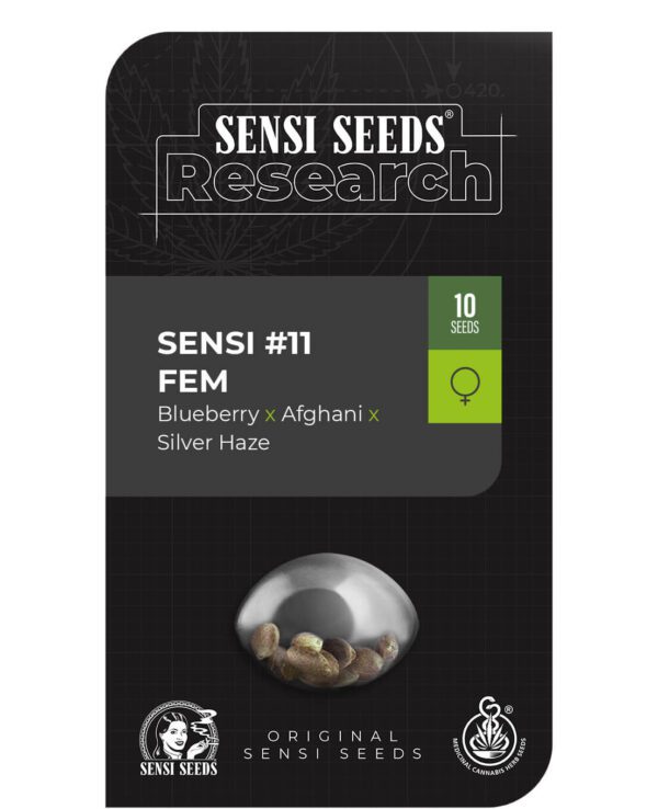 Sensi #11 (Blueberry x Afghani x Silver Haze) Feminised Seeds by Sensi Seeds Research
