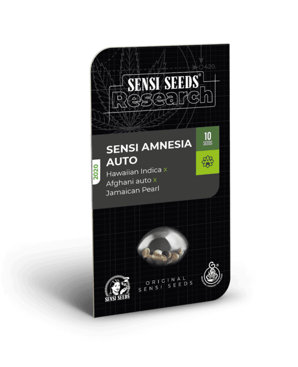 Sensi Amnesia Auto Feminised Seeds by Sensi Seeds