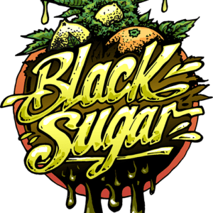 Black Sugar Feminised Seeds by Seedsman