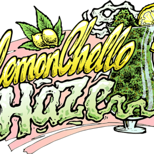 Lemonchello Haze Feminised Seeds by Seedsman
