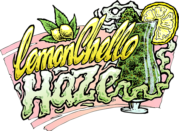 Lemonchello Haze Feminised Seeds by Seedsman