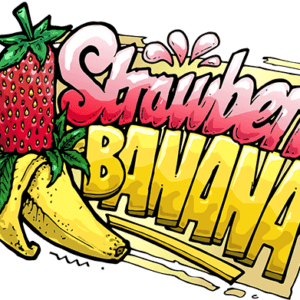 Strawberry Banana Grape Feminised Seeds by Seedsman