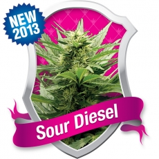 Sour Diesel Feminised Seeds by Royal Queen Seeds