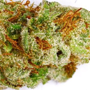 Super Sour OG Feminised Seeds by Emerald Triangle