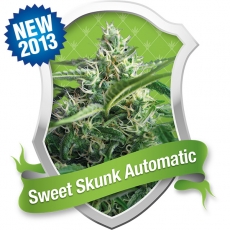 Sweet Skunk Auto Feminised Seeds by Royal Queen Seeds