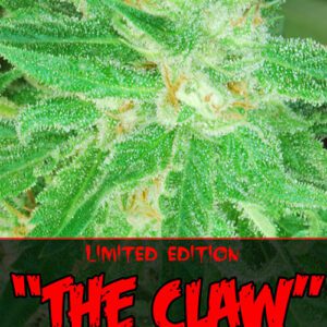 The Claw Regular Seeds by Alphakronik Genes