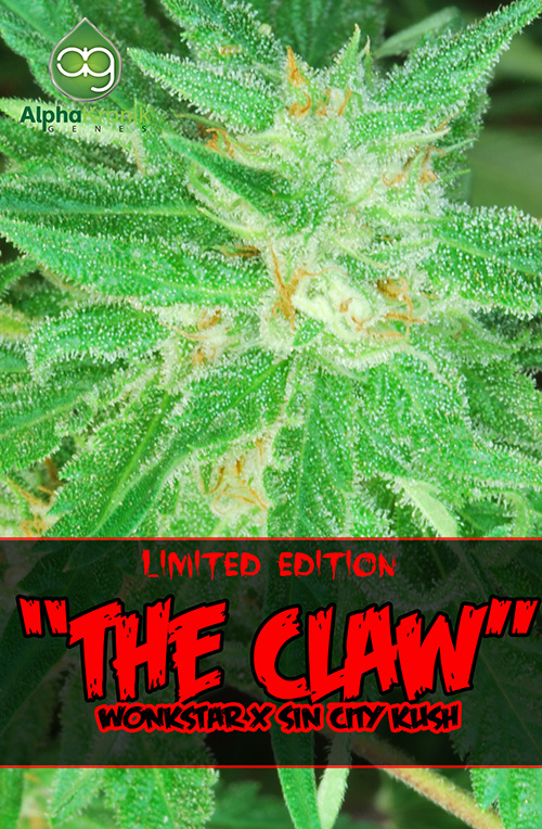 The Claw Regular Seeds by Alphakronik Genes