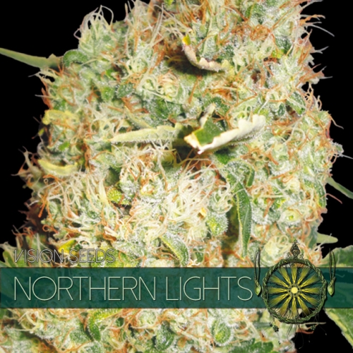 Northern Lights Feminised Seeds by Vision Seeds