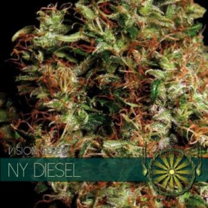 NY Diesel Feminised Seeds by Vision Seeds