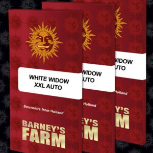 White Widow XXL Auto Feminised Seeds by Barney's Farm